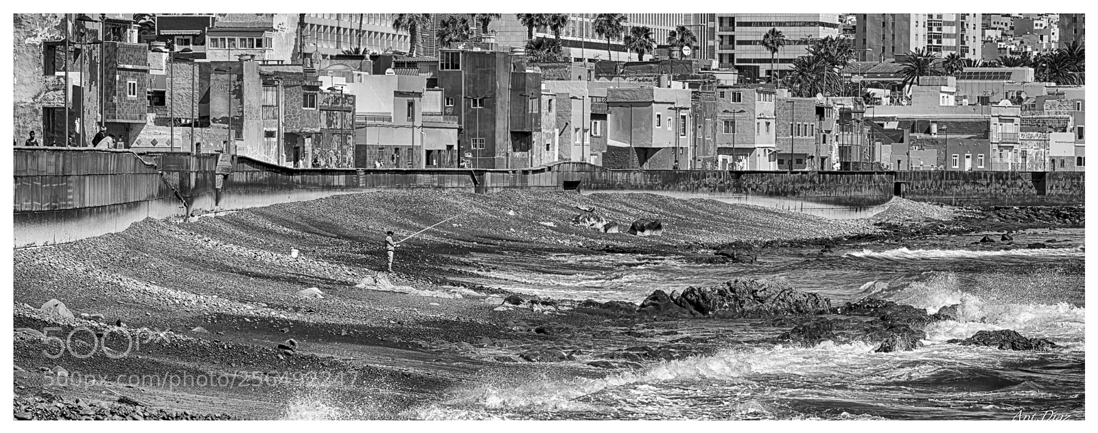 Nikon D7100 sample photo. Las palmas de g.c photography
