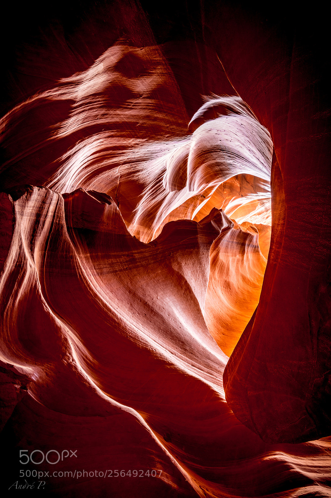 Sony a7R III sample photo. Antelope heart photography