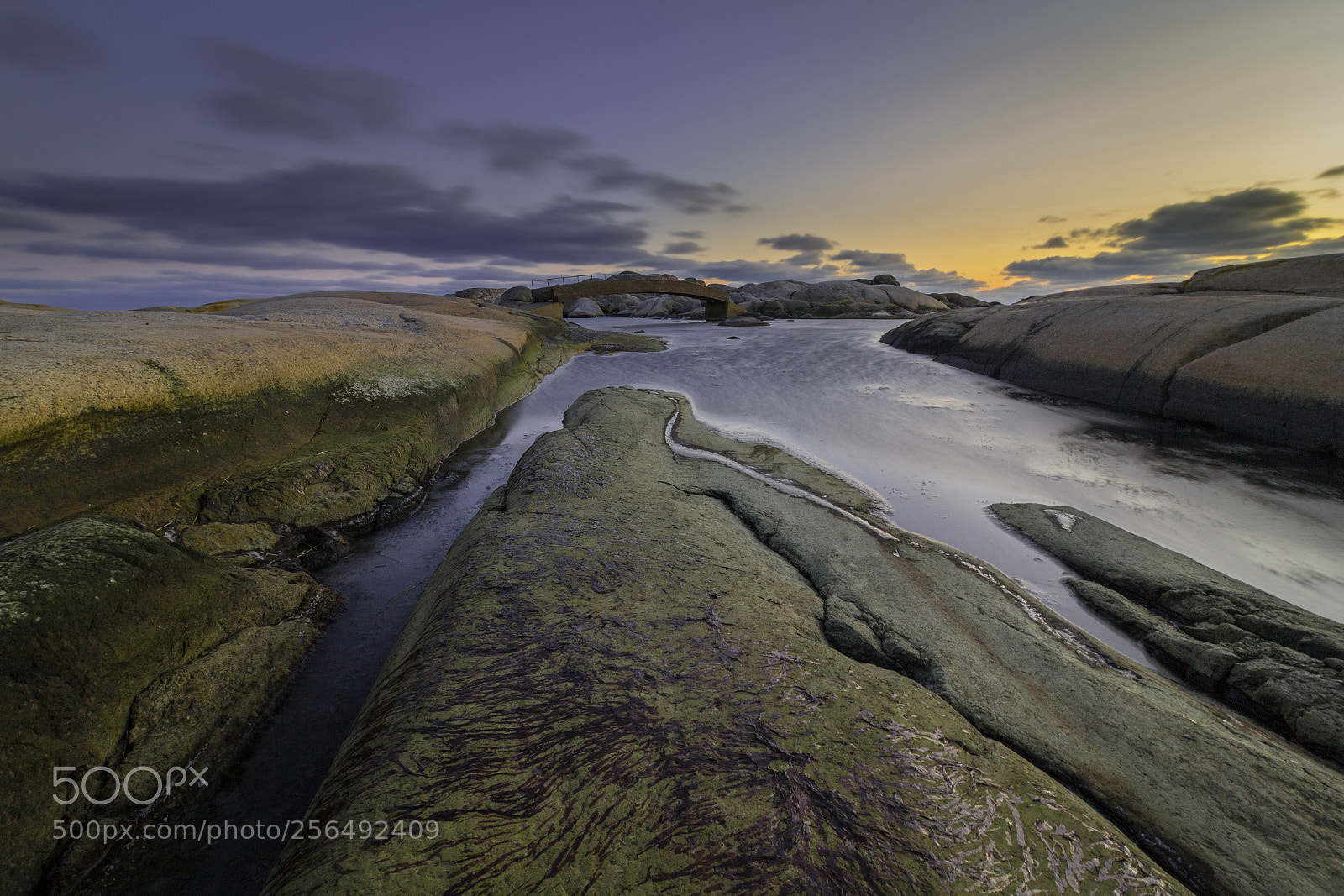 Canon EOS 700D (EOS Rebel T5i / EOS Kiss X7i) sample photo. Good evening photography