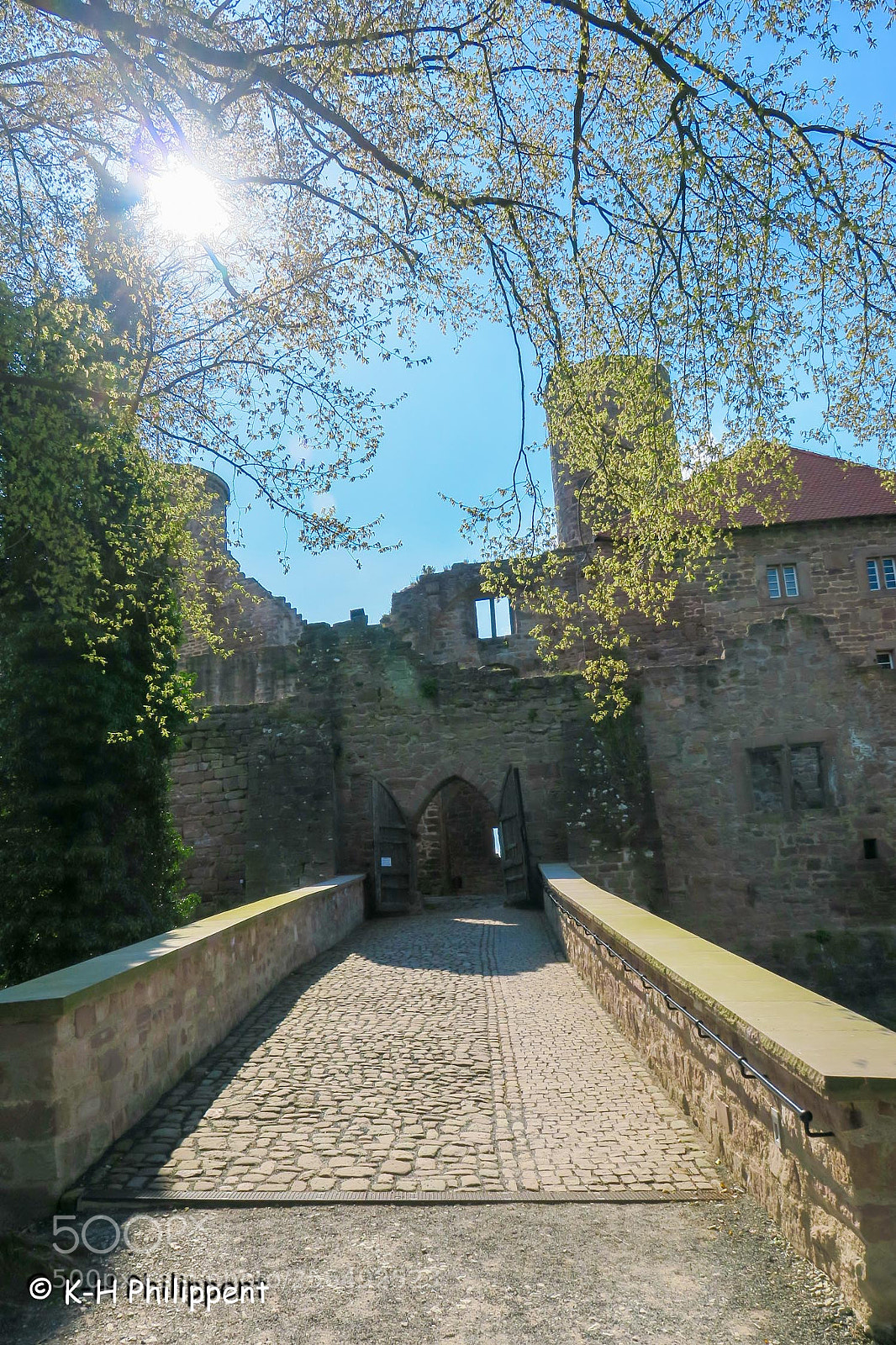 Canon PowerShot G3 X sample photo. Bornhagen germany , burg photography