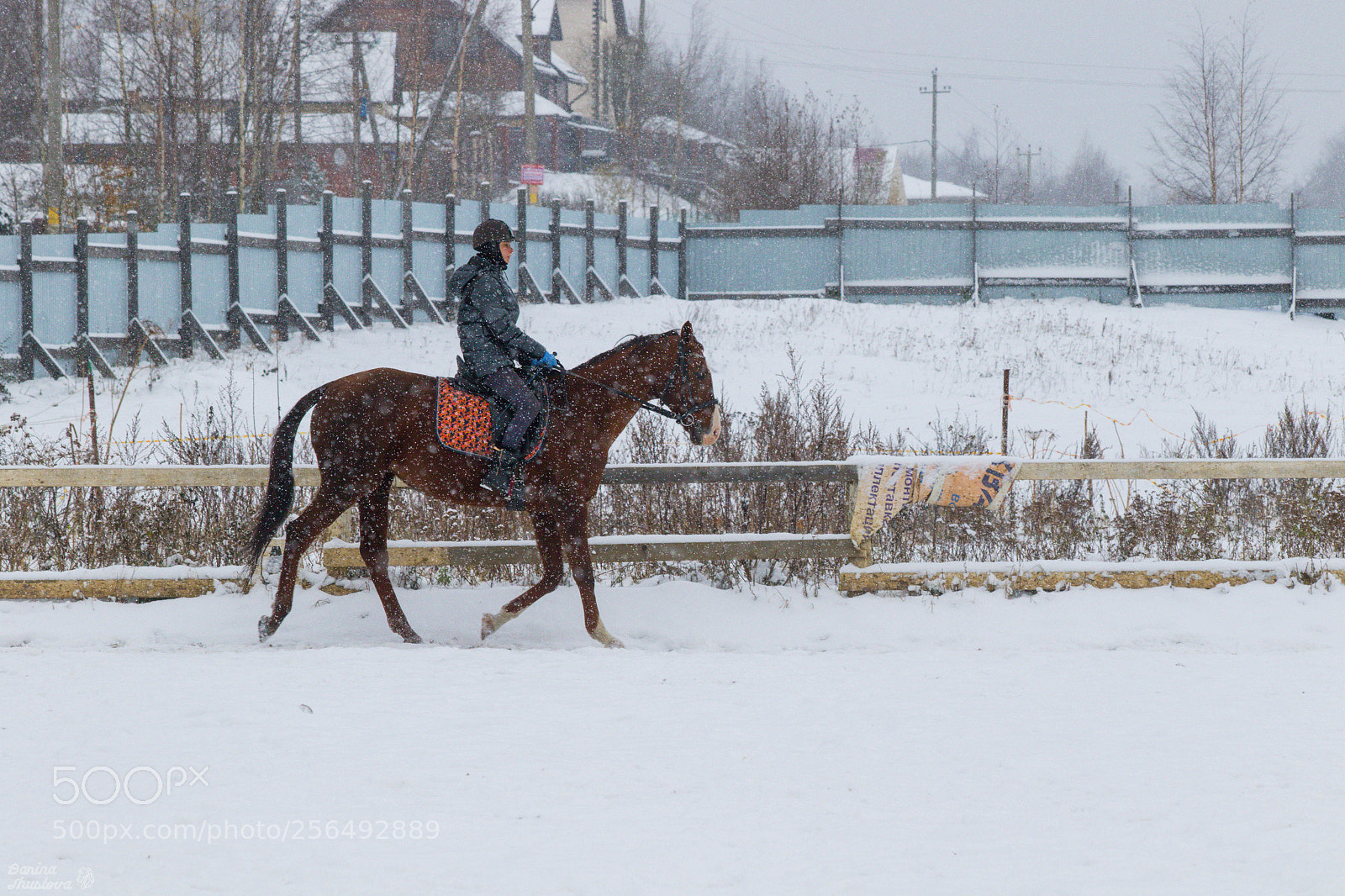 Canon EOS 7D Mark II sample photo. A photography