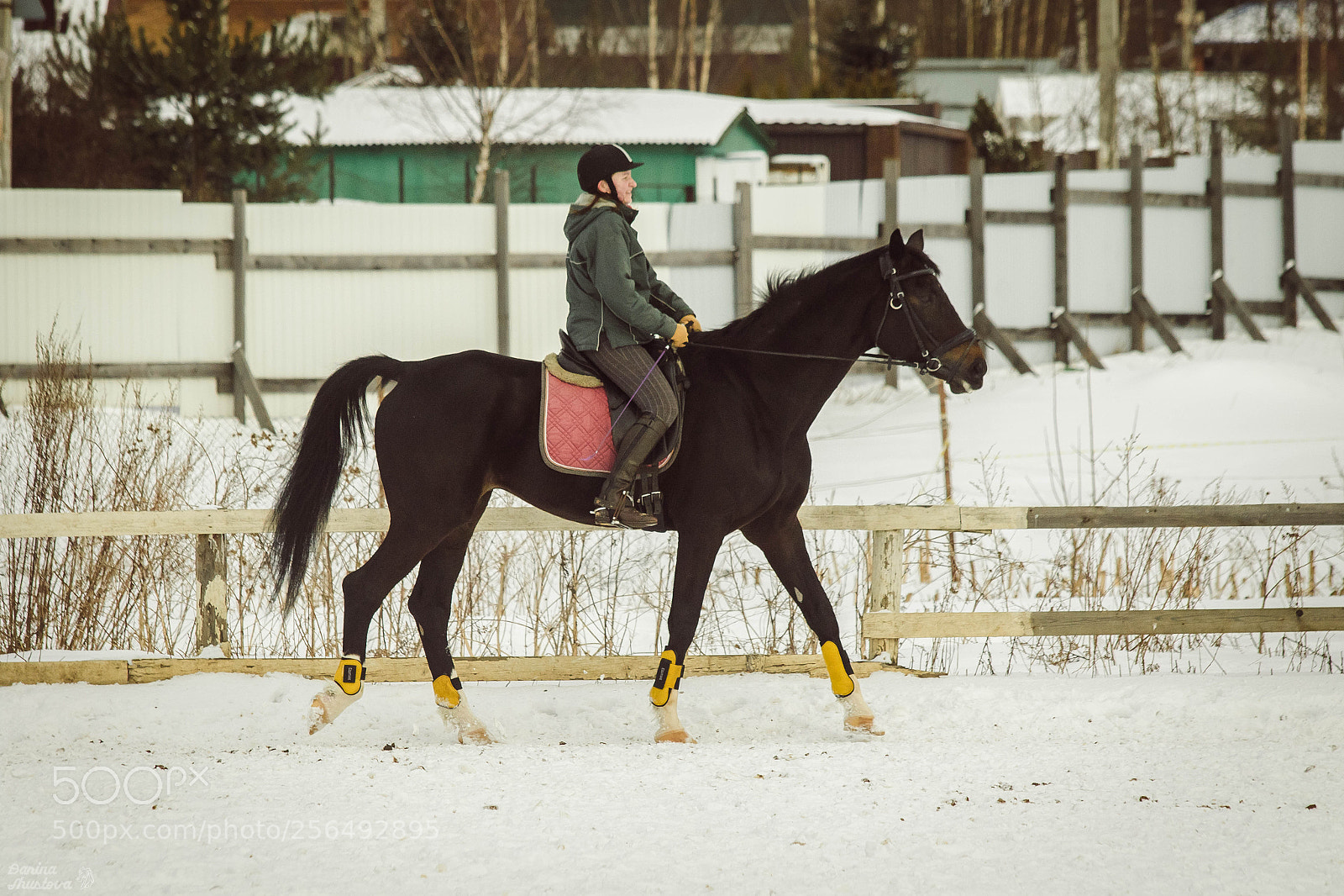 Canon EOS 7D Mark II sample photo. A photography