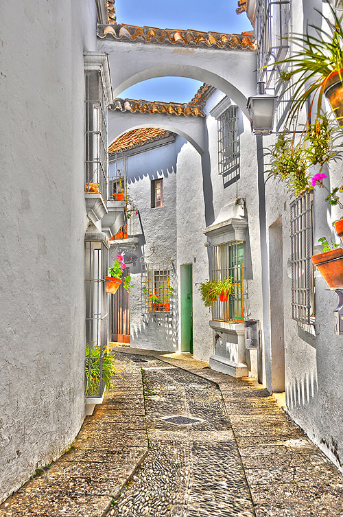 Nikon D90 sample photo. Barcelona , spanish village photography