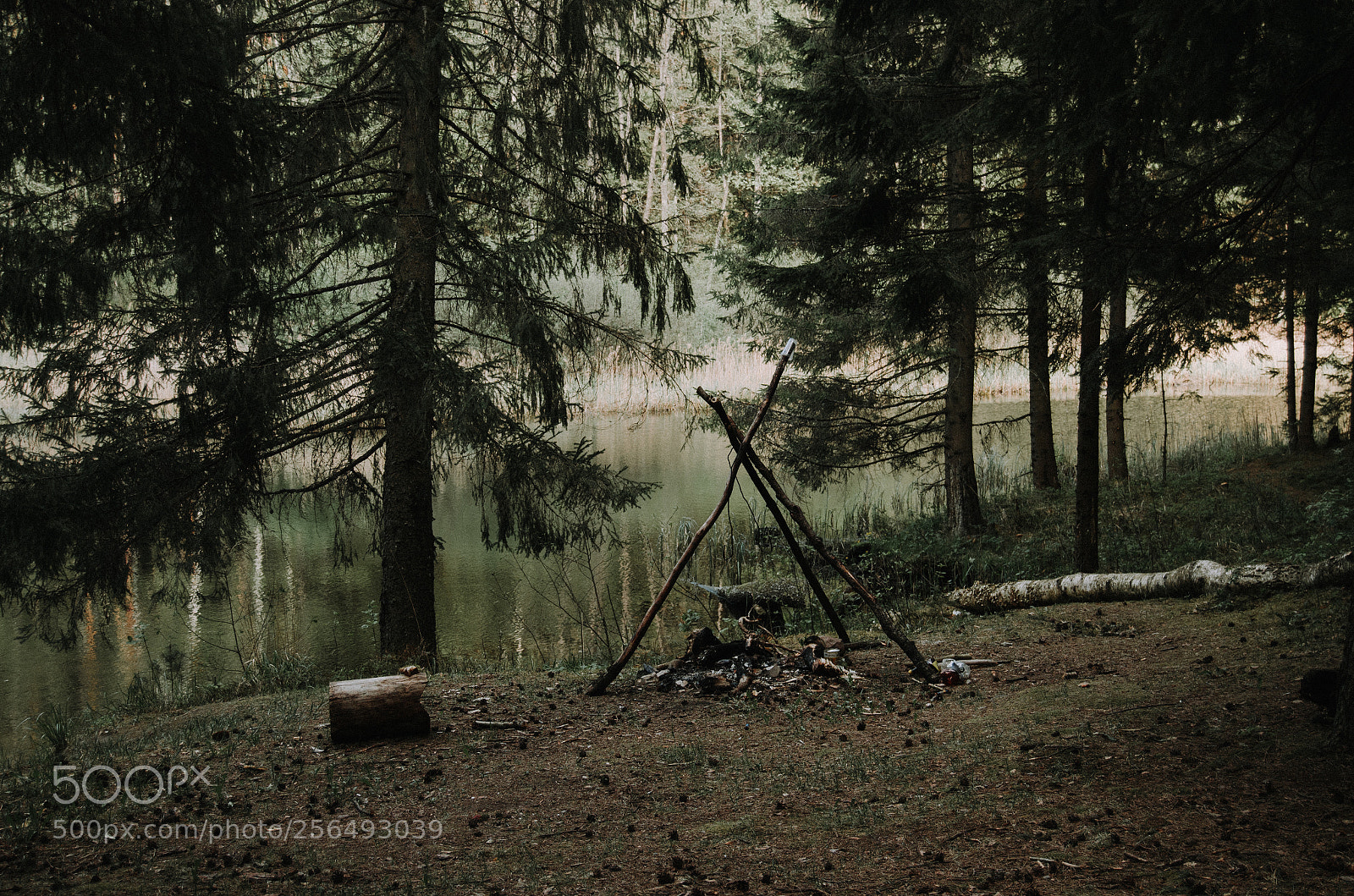 Nikon D5100 sample photo. Сamp by the lake photography