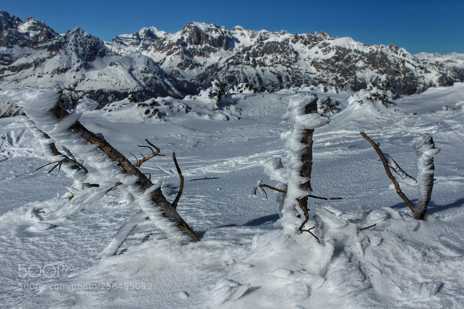 Canon EOS 1200D (EOS Rebel T5 / EOS Kiss X70 / EOS Hi) sample photo. Dolomiti photography