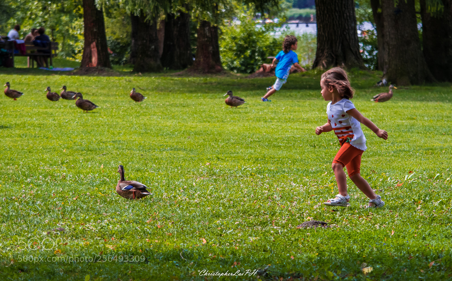 Nikon D3300 sample photo. Play games with animals photography
