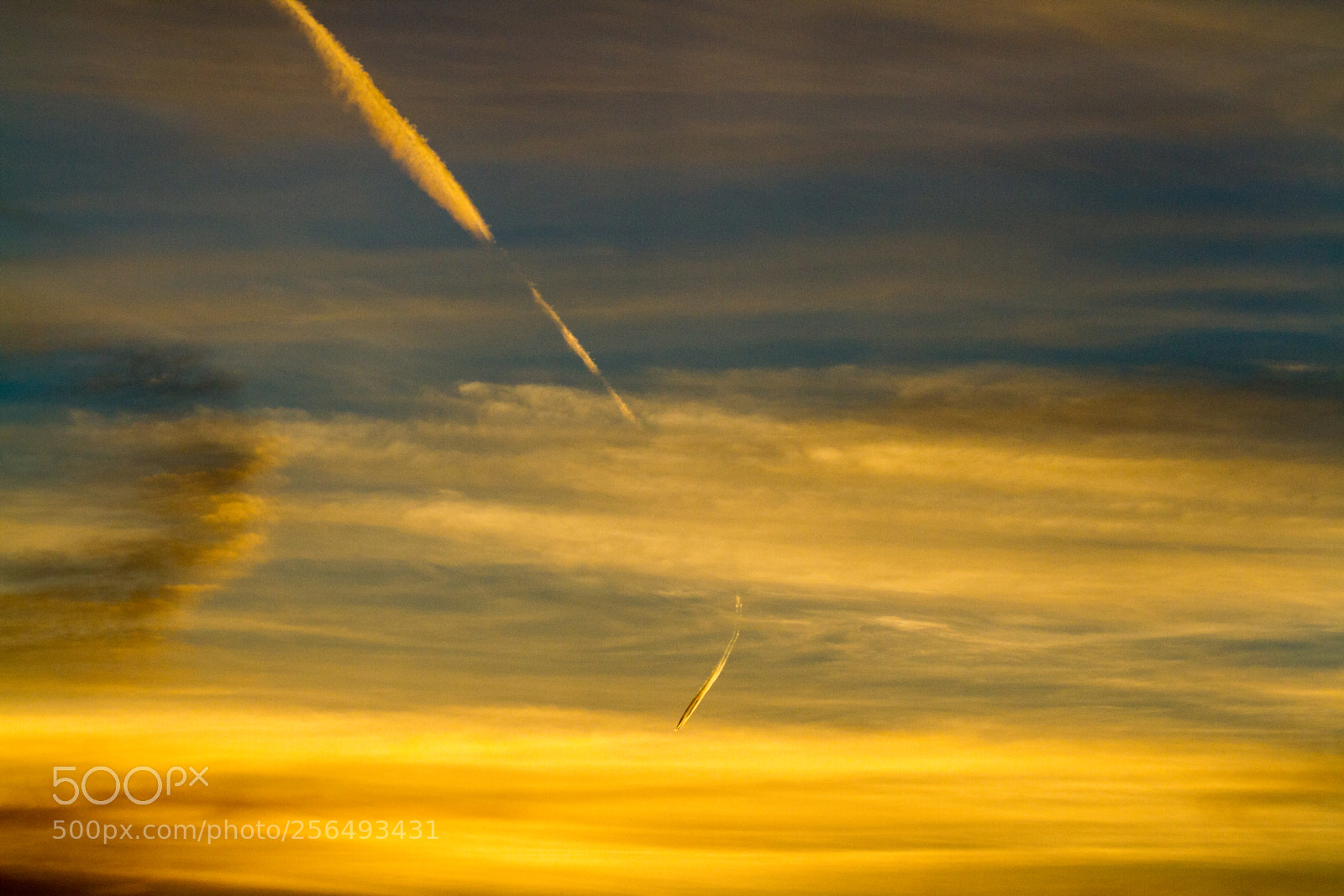 Canon EOS 7D sample photo. Untitled photography