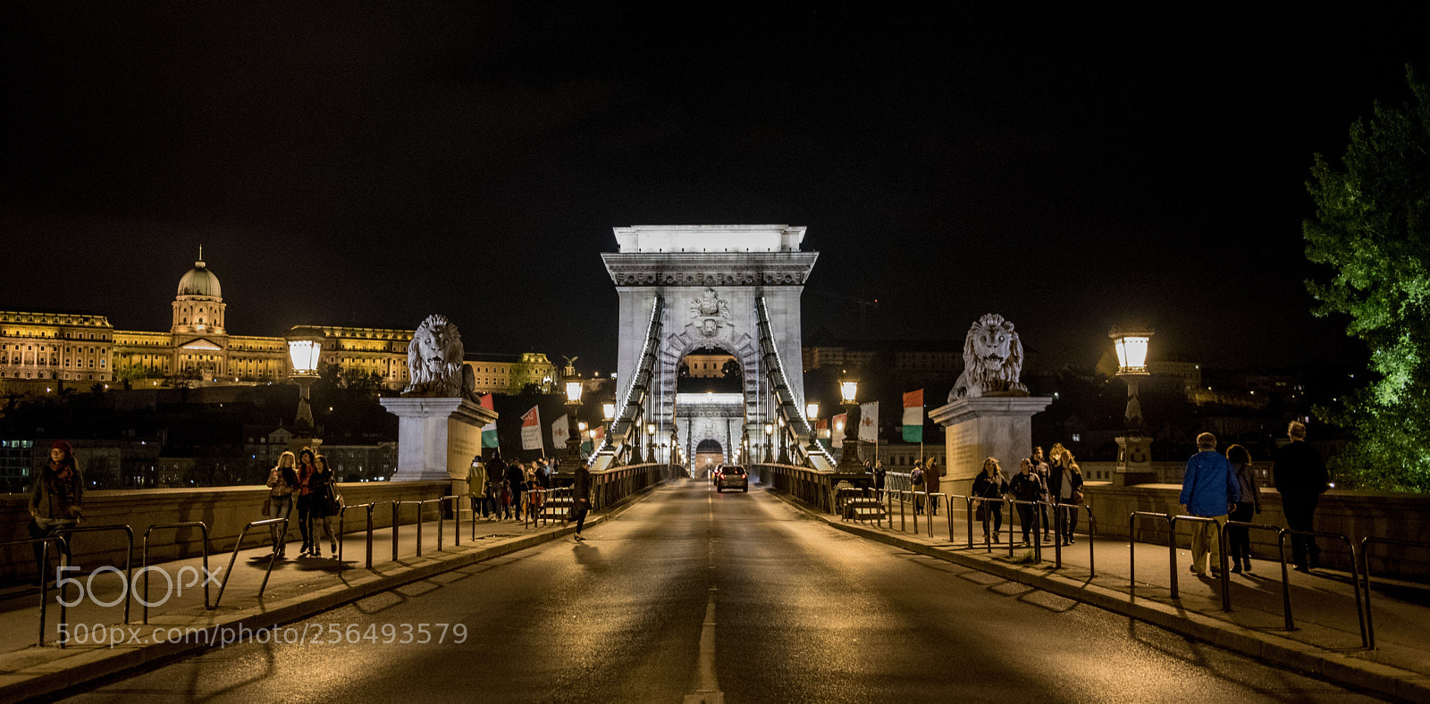Nikon D750 sample photo. Budapest 2016 photography