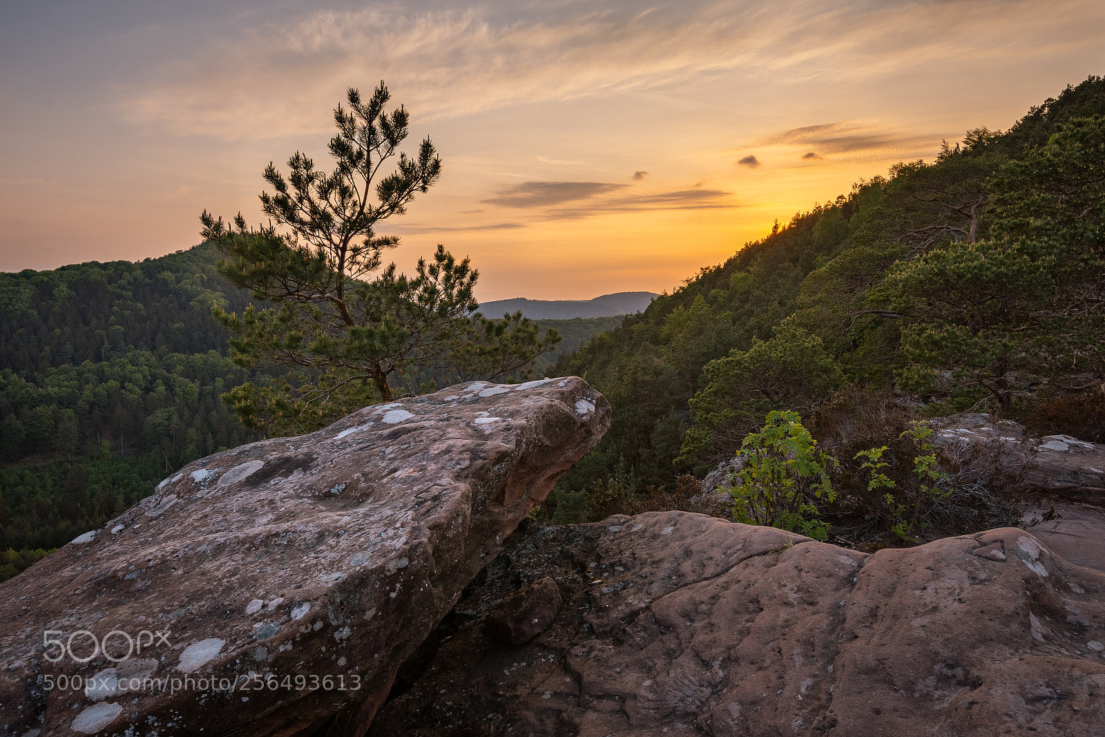 Nikon D7200 sample photo. Keyrock photography