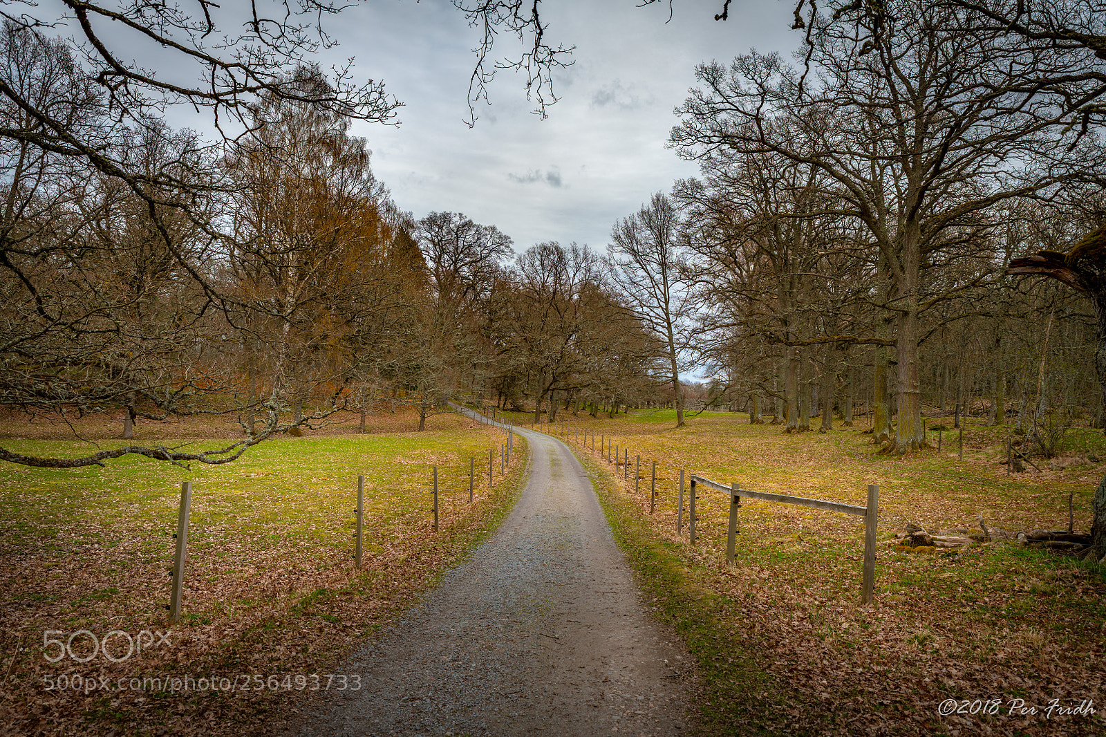 Nikon D850 sample photo. Country road photography
