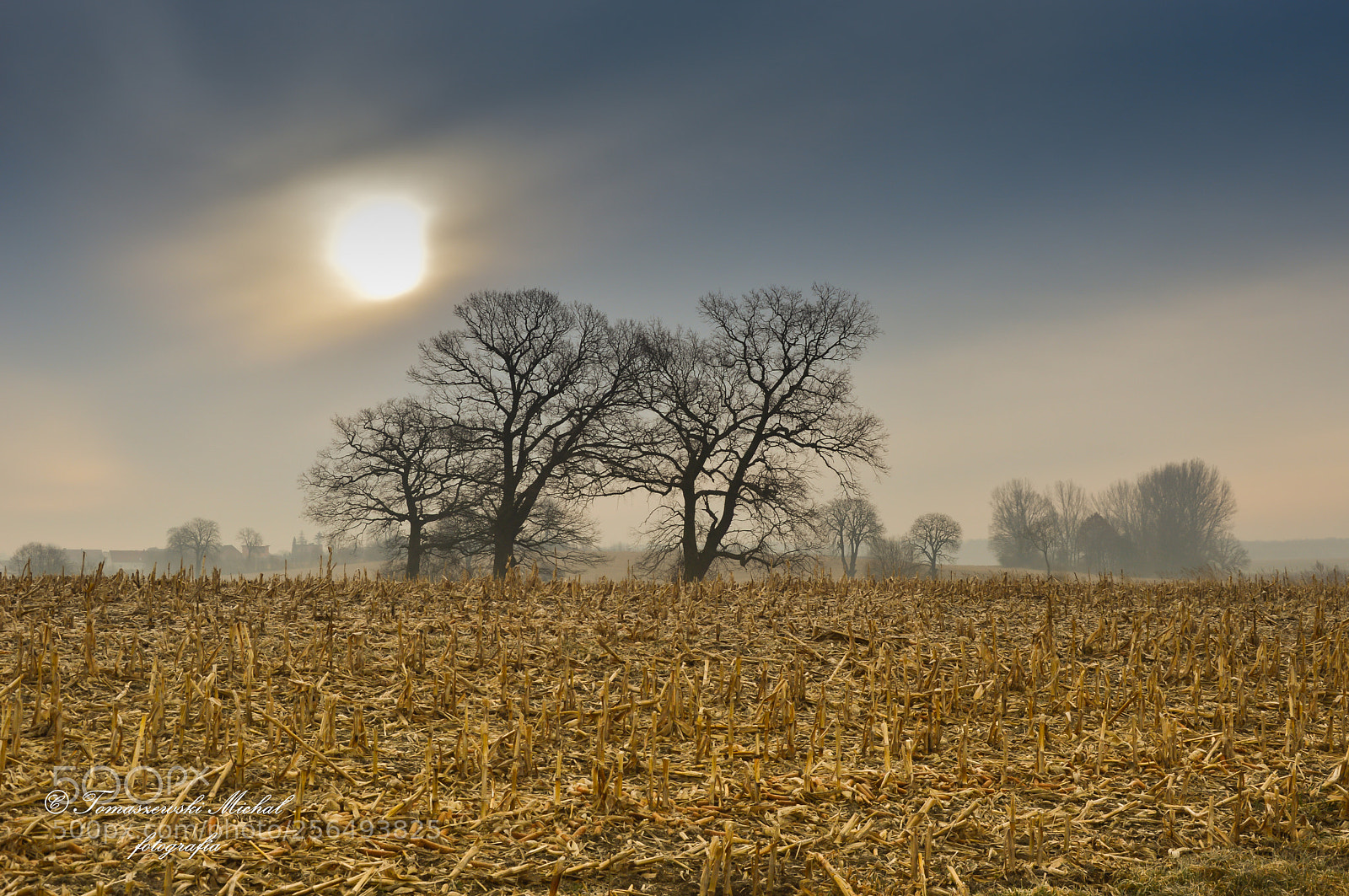 Nikon D3200 sample photo. Beginning of the day photography