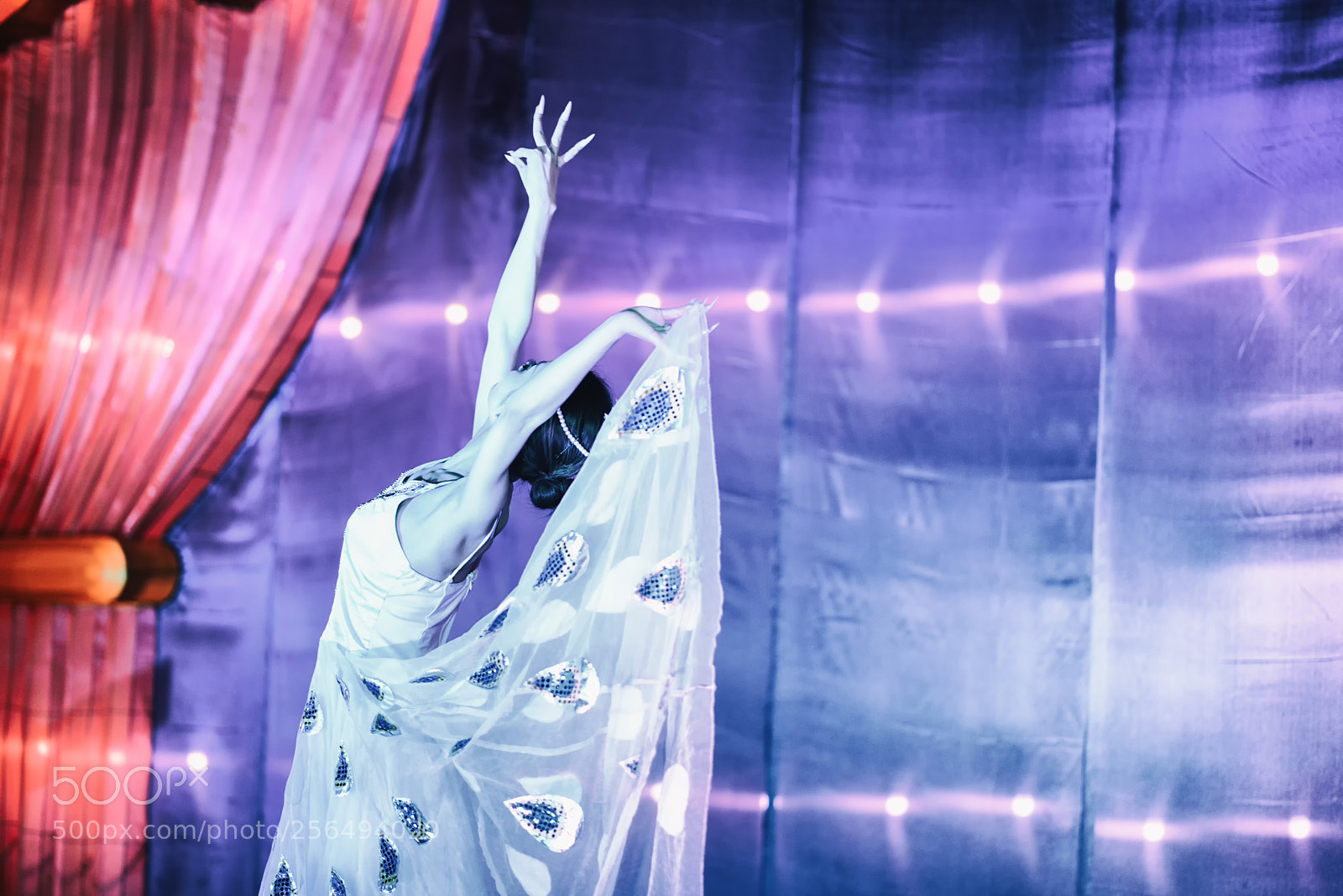 Nikon D800E sample photo. Peacock dancer photography