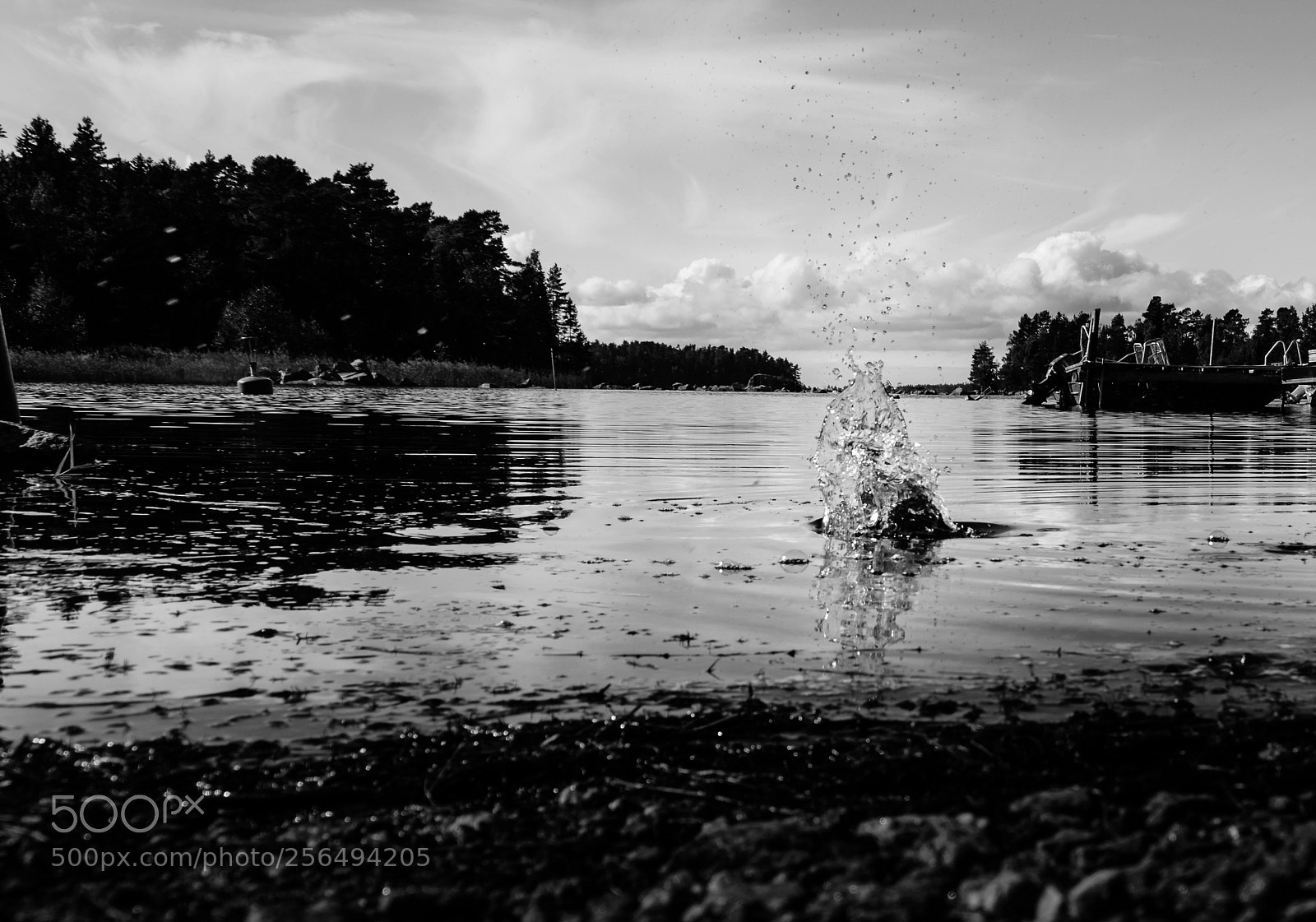 Nikon D3200 sample photo. Splash photography
