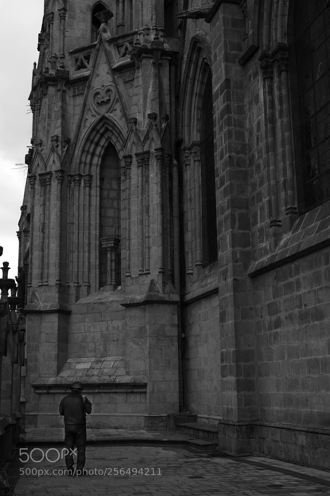 Nikon D3100 sample photo. Untitled photography