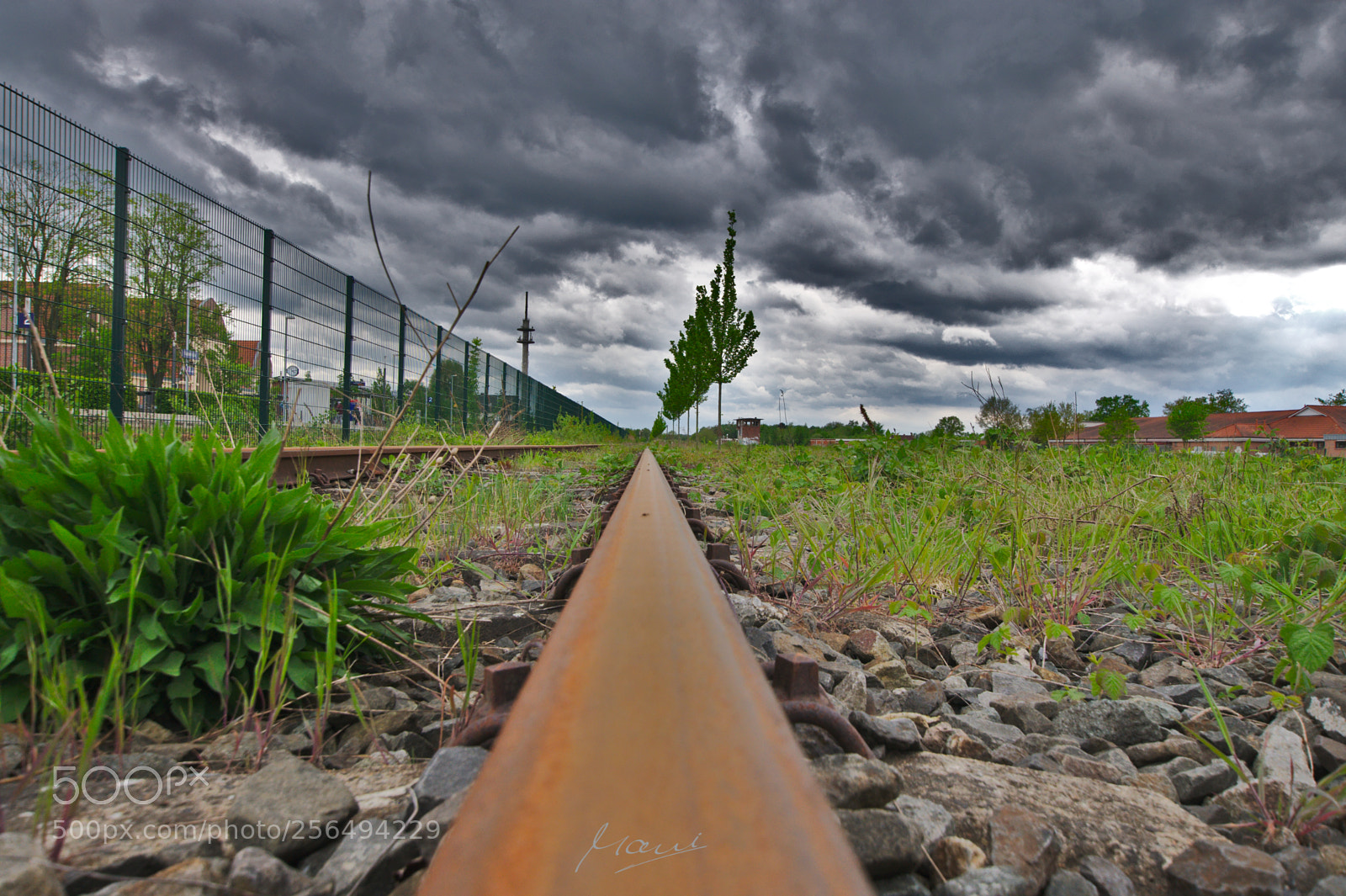 Nikon D90 sample photo. Fence & rail photography