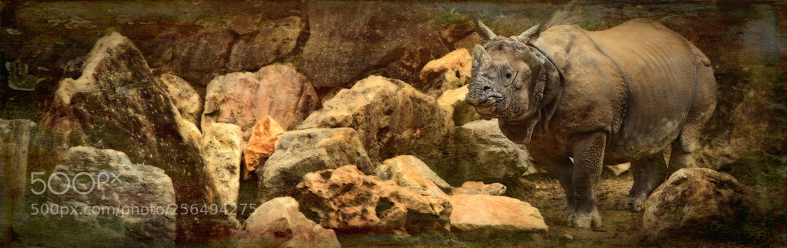 Canon EOS 7D sample photo. One thousand years... photography