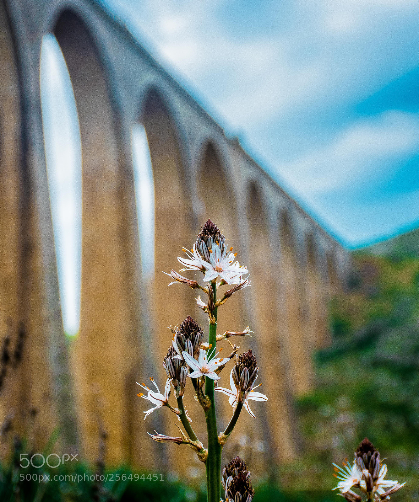 Nikon D3300 sample photo. Untitled photography