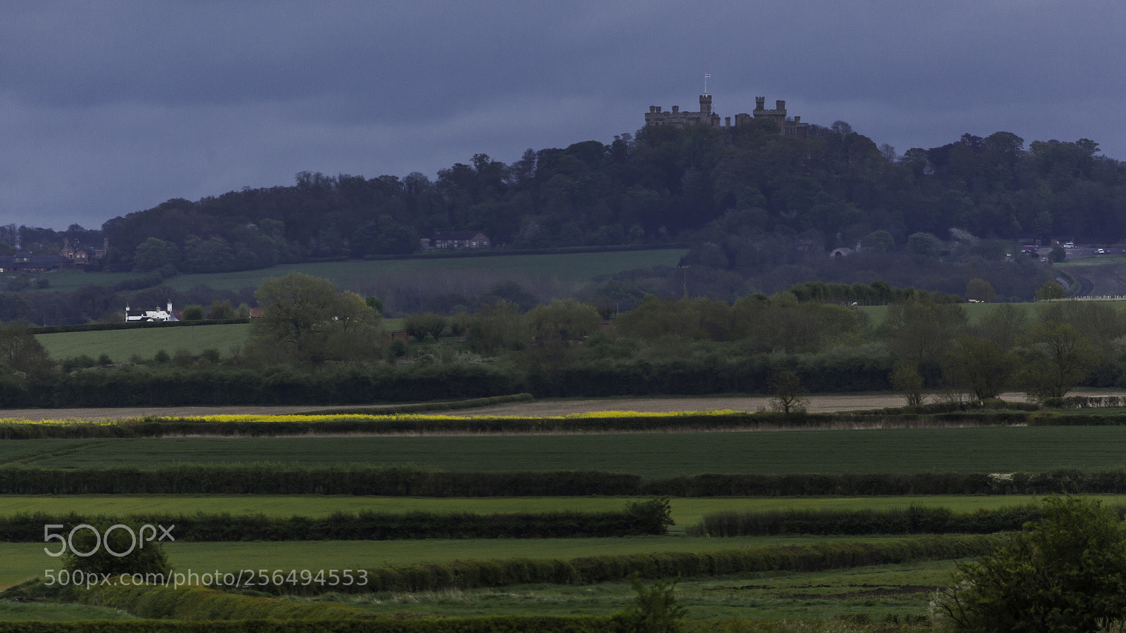 Canon EOS 5D Mark II sample photo. The vale of belvoir photography