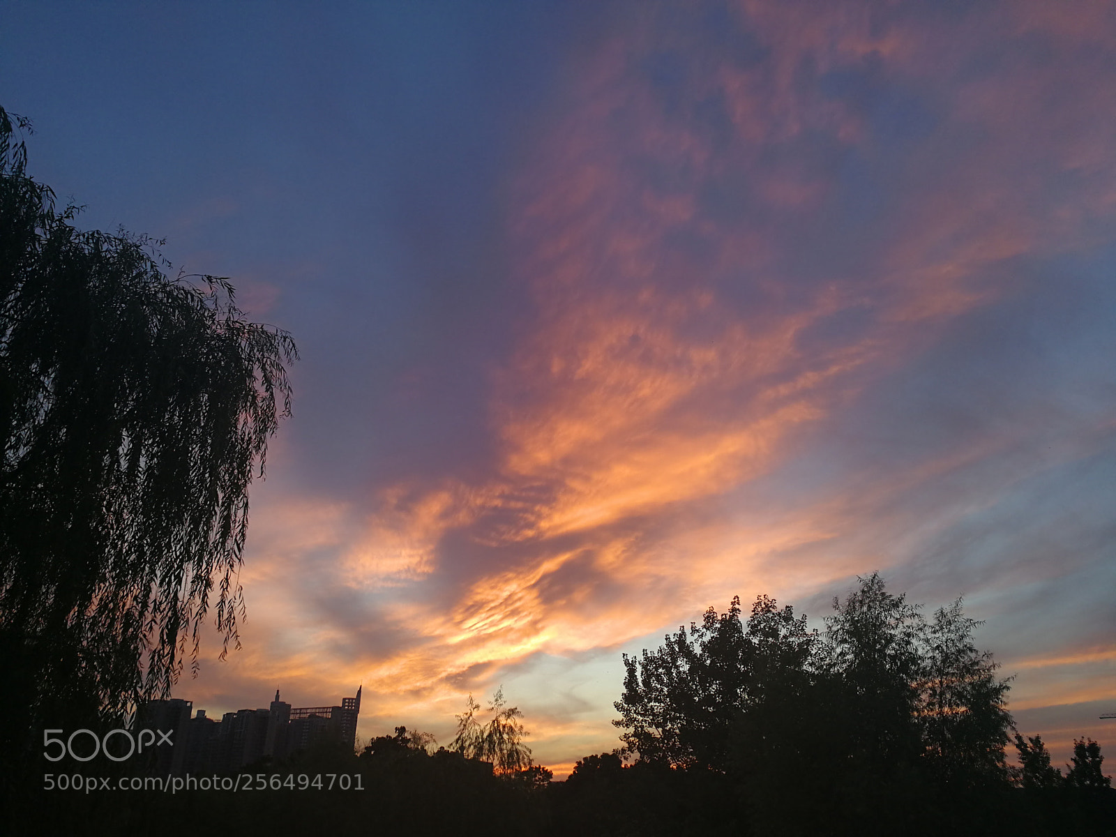 HUAWEI Mate 9 sample photo. Untitled photography