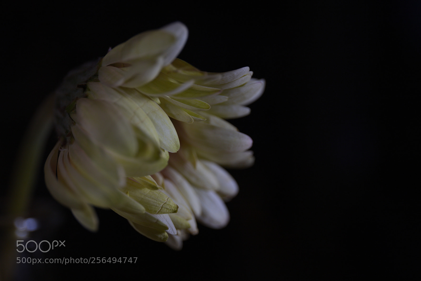 Canon EF 24-70mm F4L IS USM sample photo. Remember me... ii photography