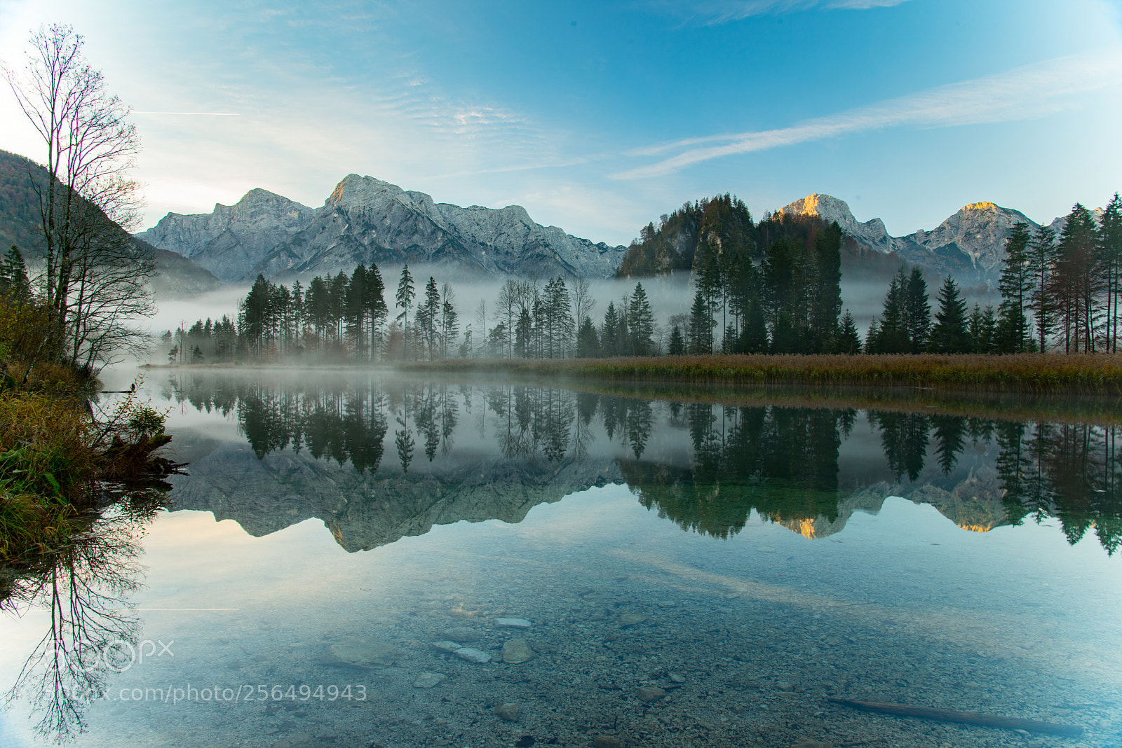 Nikon D810 sample photo. A foggy morning at photography
