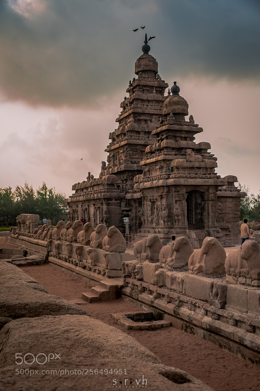 Sony a99 II sample photo. Ancient shore temple photography