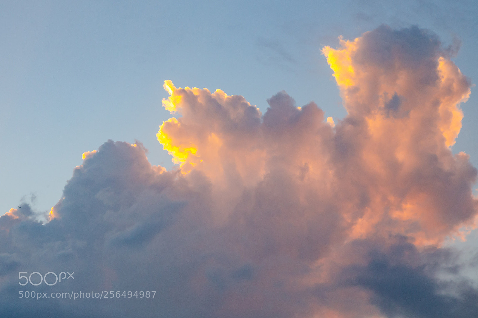 Canon EOS 6D sample photo. Untitled photography
