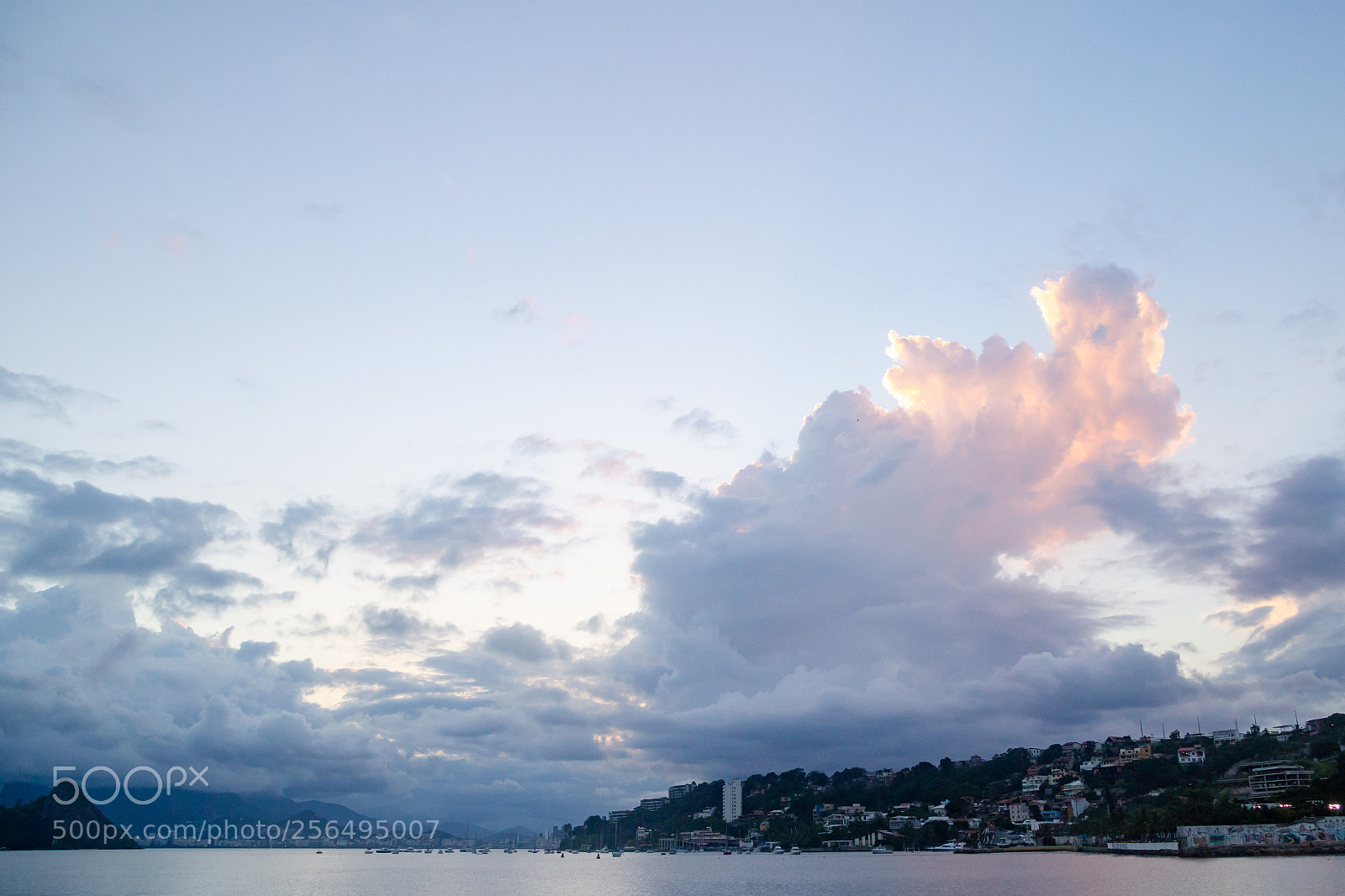 Canon EOS 6D sample photo. Untitled photography
