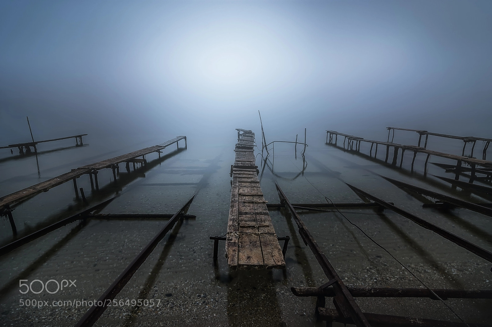 Nikon D7200 sample photo. Foggy morning photography