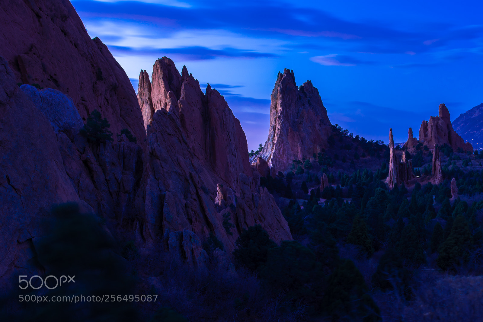 Nikon D500 sample photo. Blue hour in garden photography