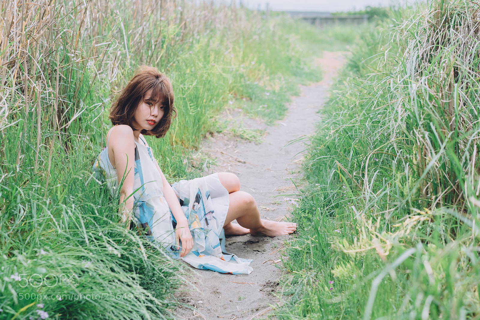 Fujifilm X-T2 sample photo. Untitled photography