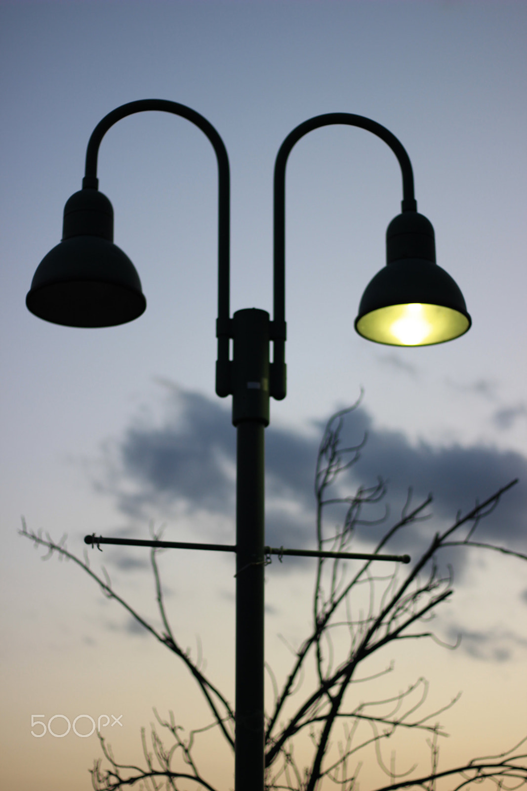 Canon EOS 600D (Rebel EOS T3i / EOS Kiss X5) sample photo. Wink photography