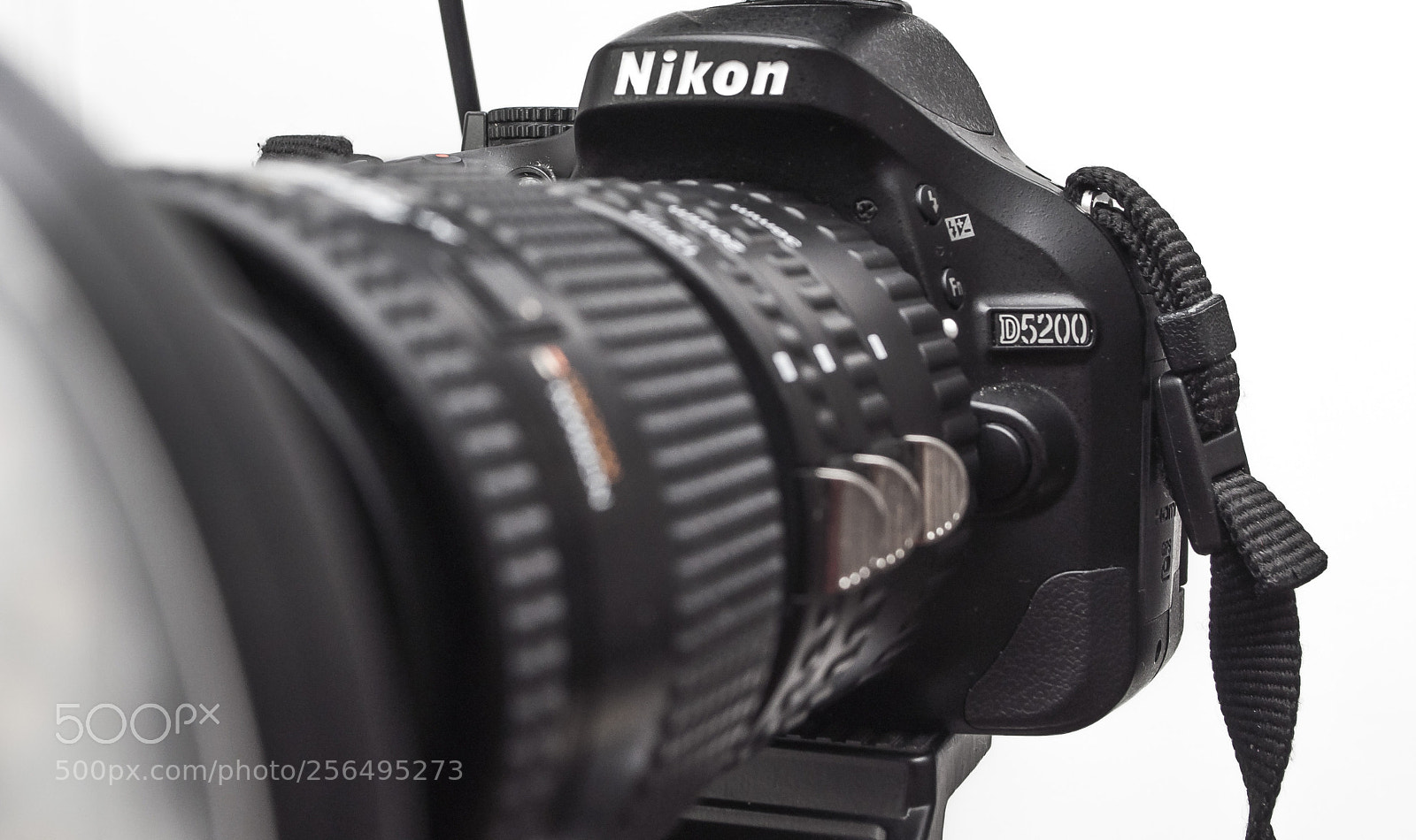 Nikon D5000 sample photo. Nik photography