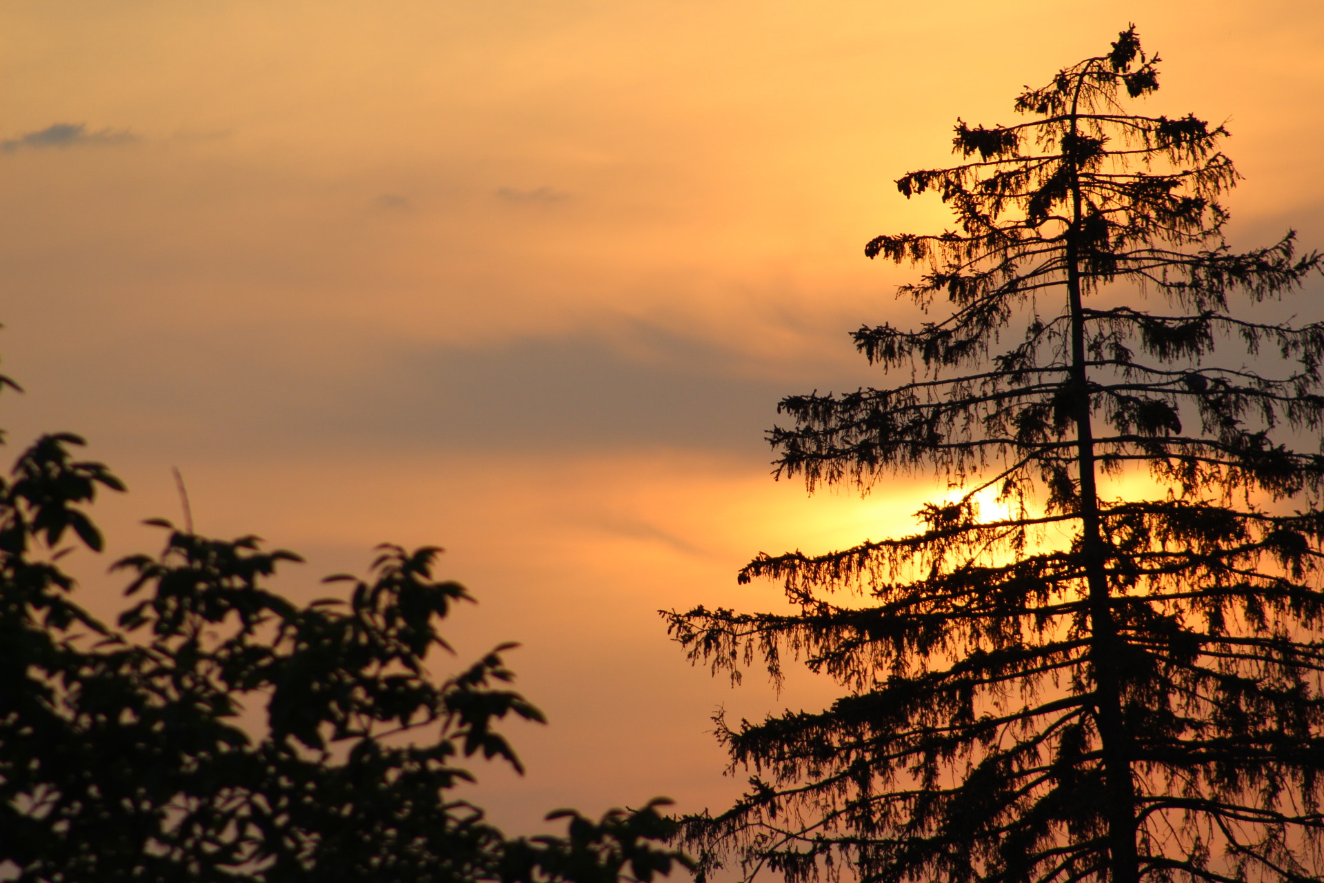 Canon EF 75-300mm f/4-5.6 sample photo