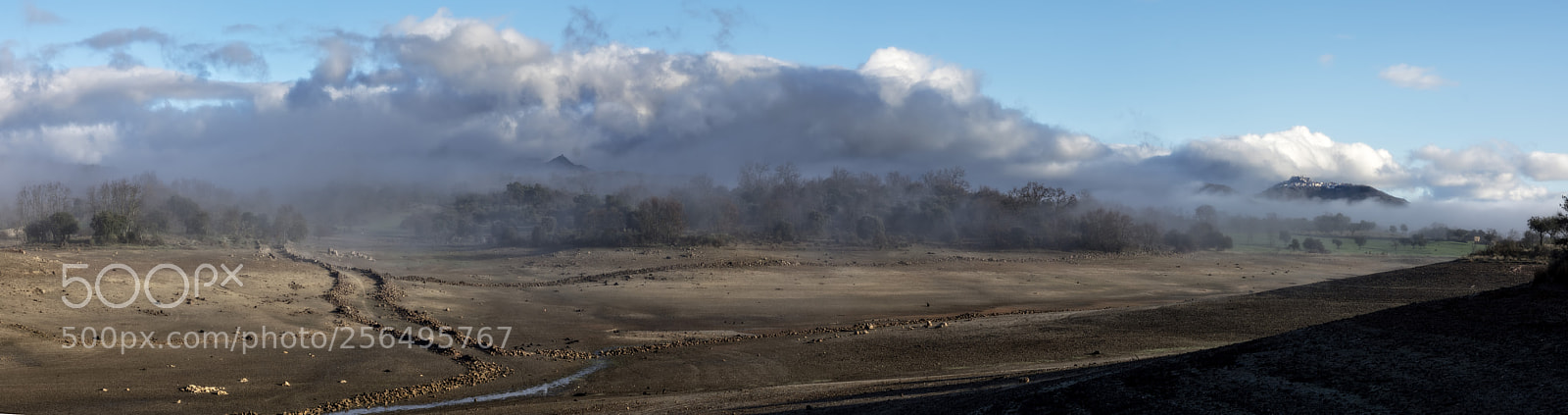 Nikon D7200 sample photo. 303 photography