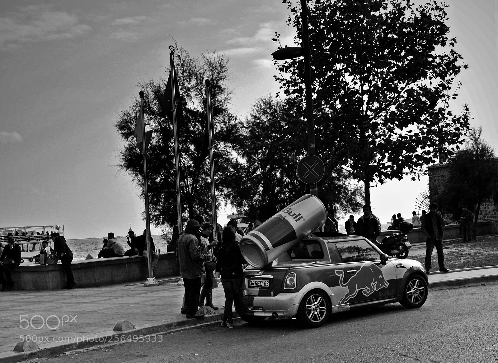 Nikon D3200 sample photo. Animate red bull photography