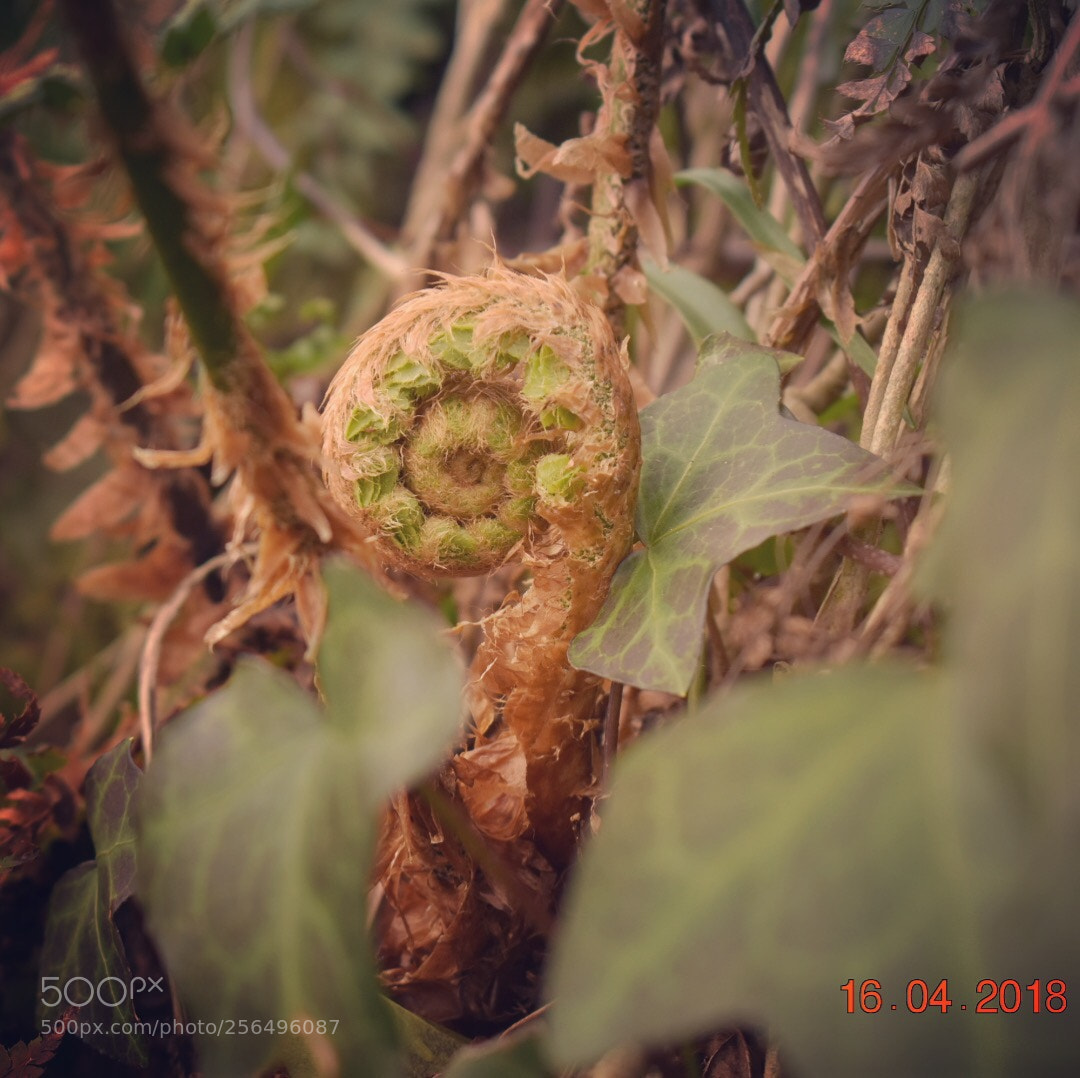 Nikon D3400 sample photo. Untitled photography