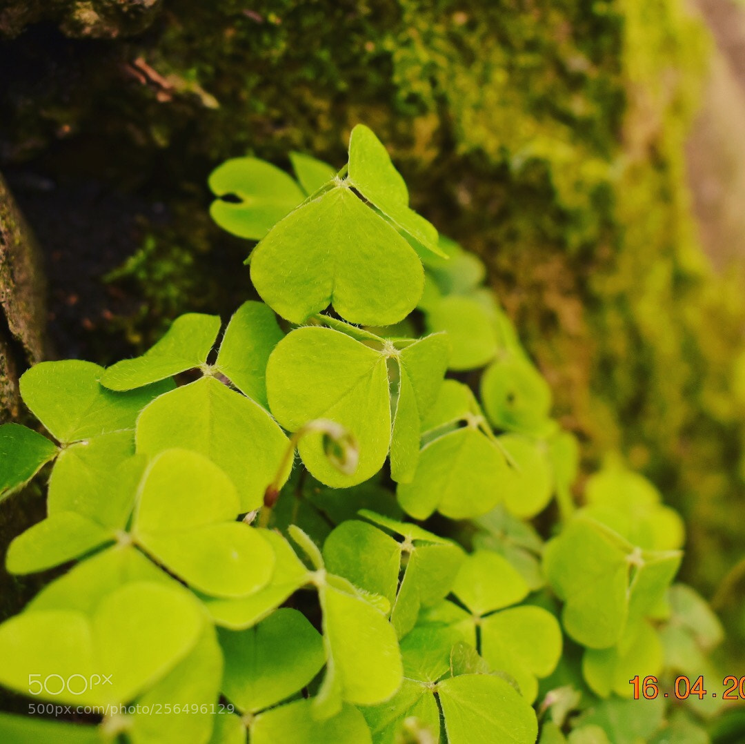 Nikon D3400 sample photo. Untitled photography