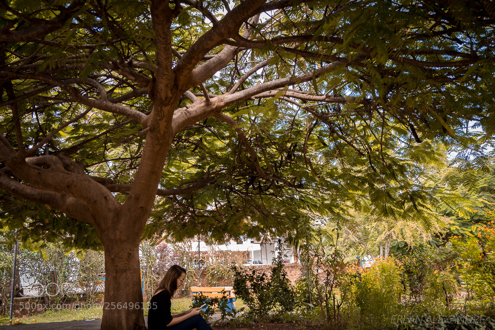 Fujifilm X-T20 sample photo. Leitura na sombra de photography