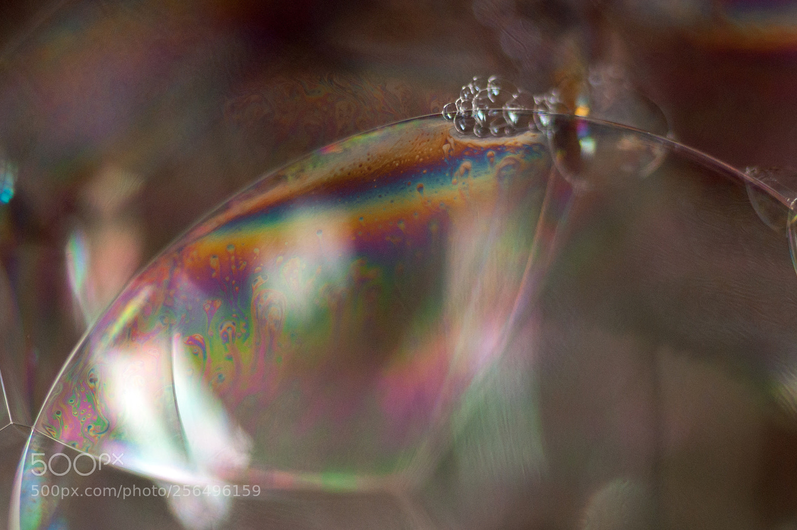 Nikon D90 sample photo. Soap bubble with vibgyor photography