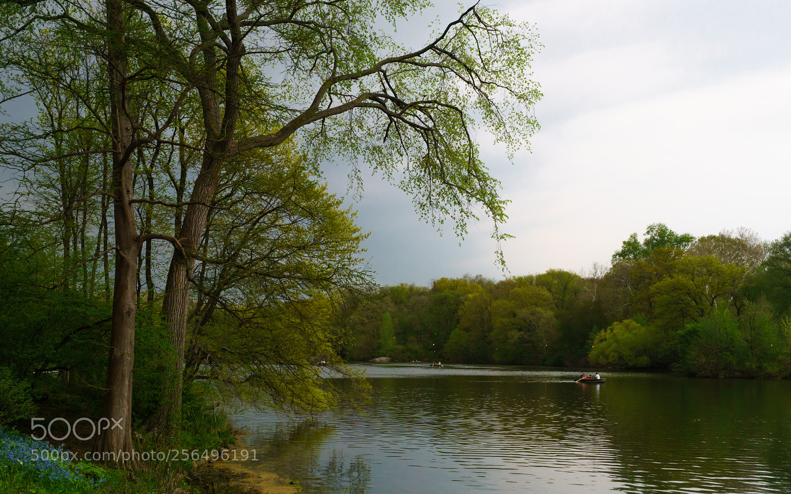 Sony a6000 sample photo. Rowing on a lake photography