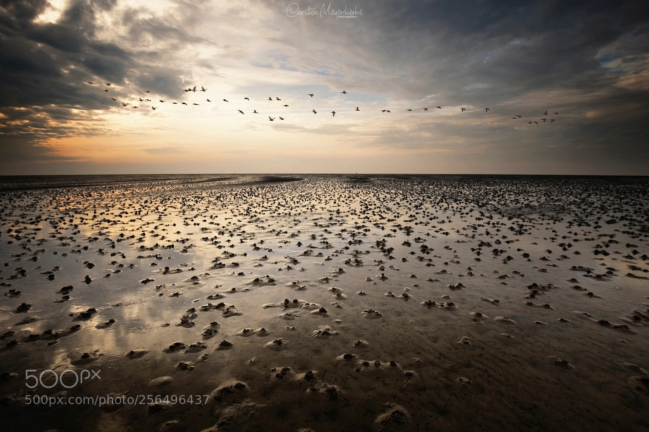 Canon EOS 6D sample photo. Low tide sunset photography