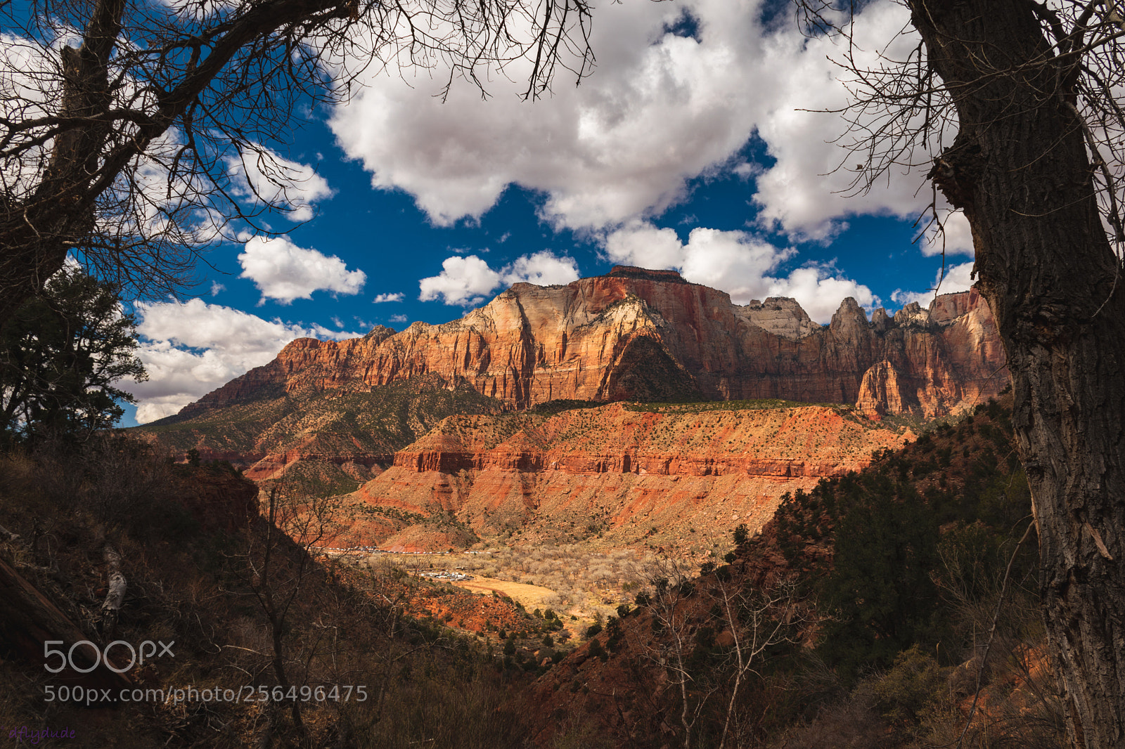 Nikon D5600 sample photo. Grand vista 3294 photography