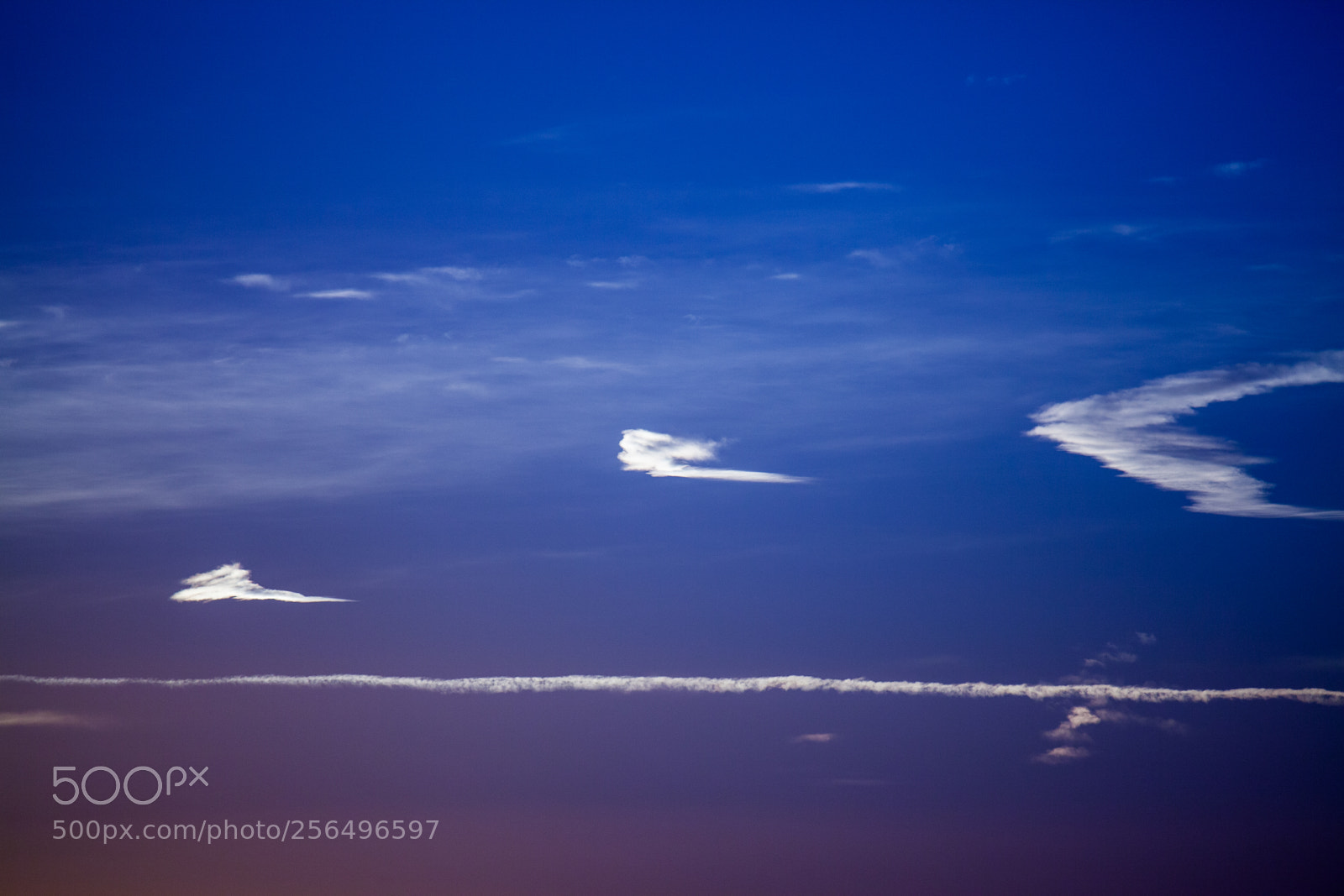 Canon EOS 5D Mark II sample photo. Untitled photography