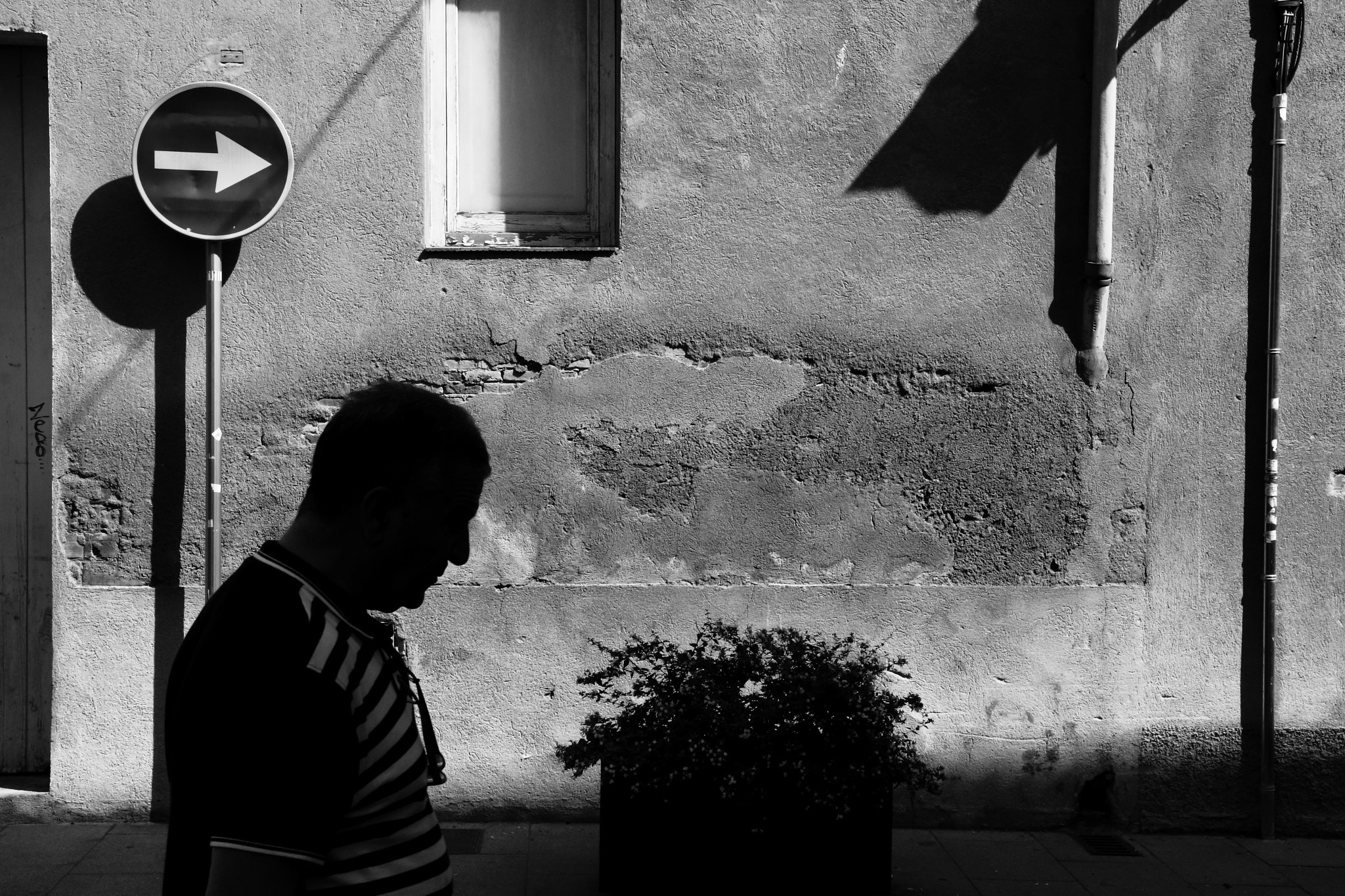Canon EOS 70D sample photo. The conformist photography