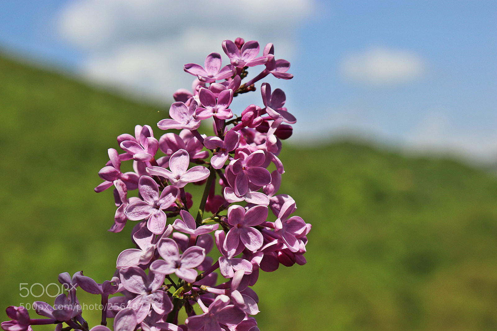 Canon EOS 200D (EOS Rebel SL2 / EOS Kiss X9) sample photo. Go beyond the horizon photography