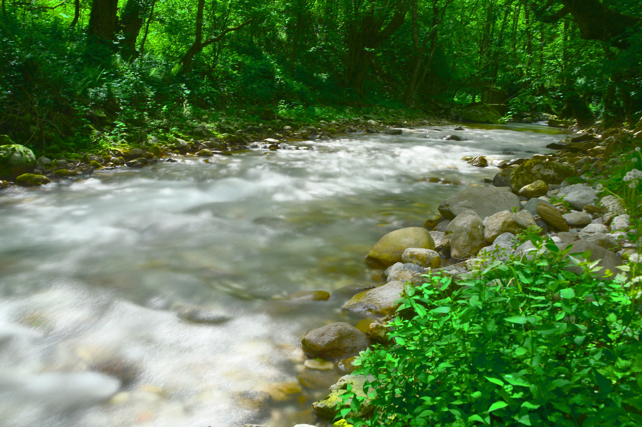 Nikon D3200 sample photo. Nature river sutjeska photography