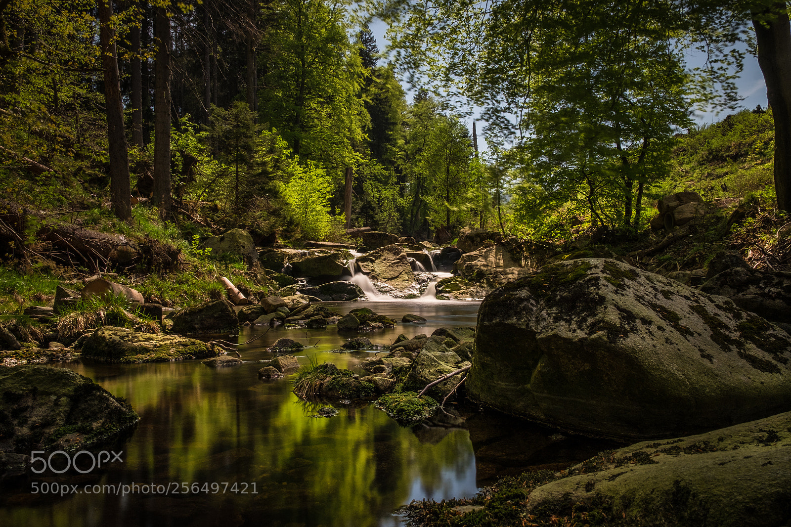 Fujifilm X-T1 sample photo. Ilsetal im harz photography