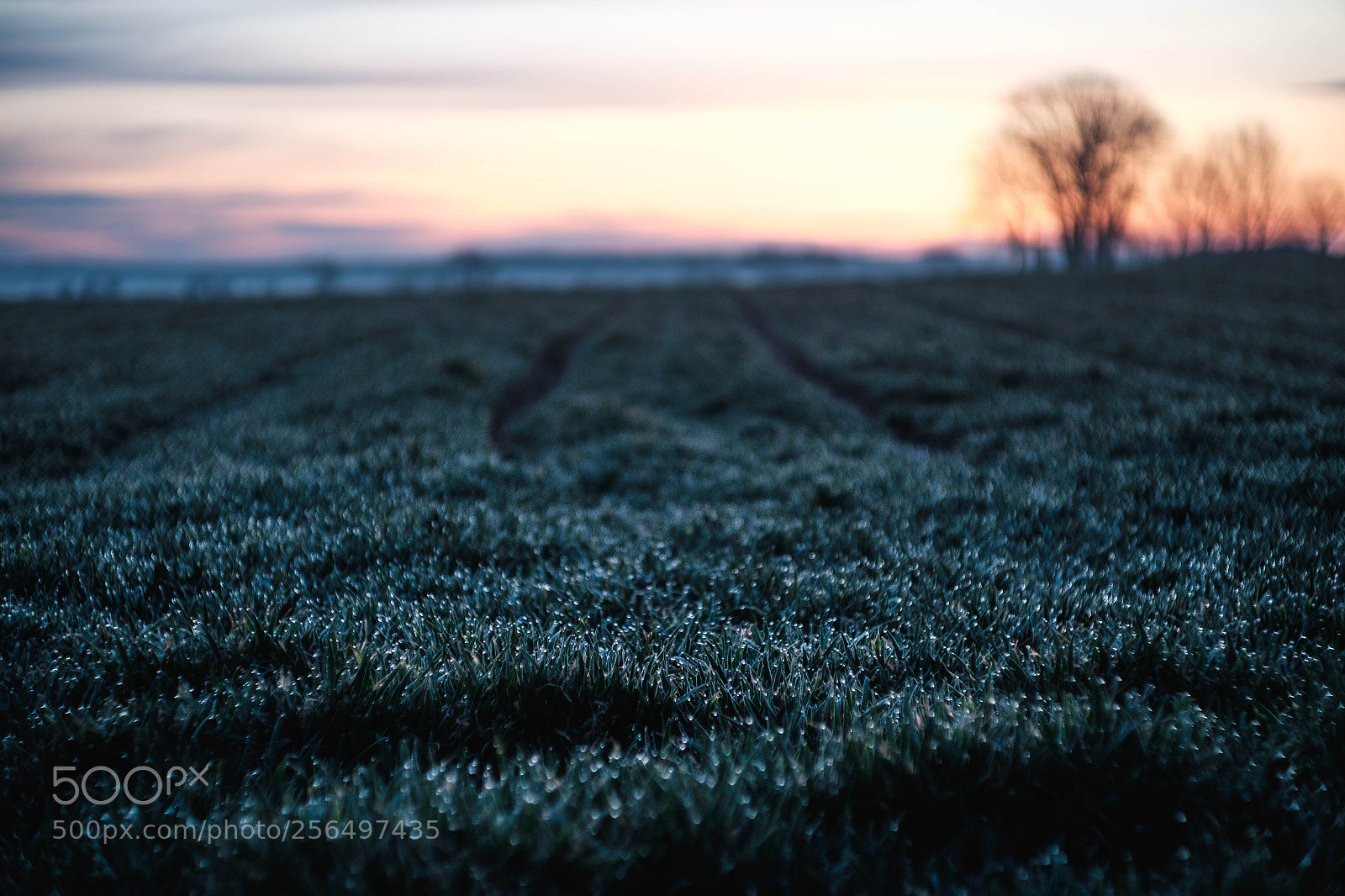 Fujifilm X-T10 sample photo. Morning comes photography