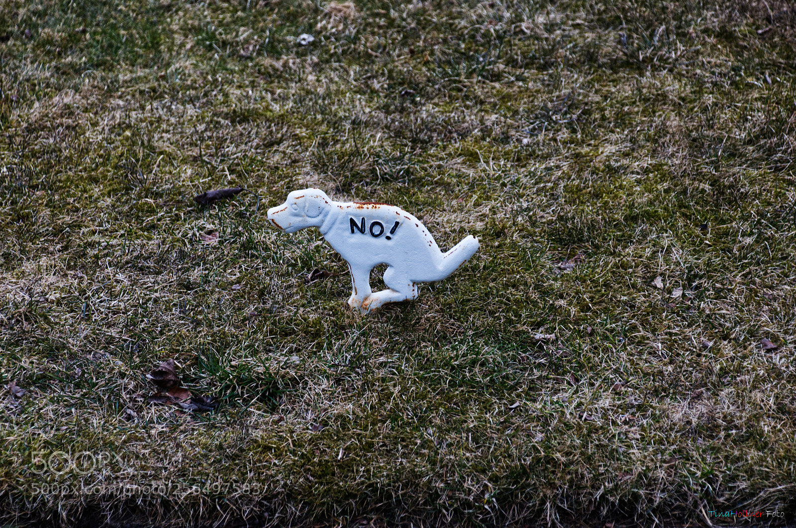 Nikon D300S sample photo. Cleangrass photography